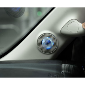 Kit d'éclairage ambiant RGBIC pour voiture Haval Raptor 2023-2026, décoration d'ambiance intérieure, bande lumineuse LED - Product Image 5