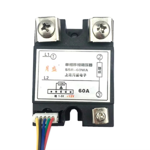 Régulateur de tension à semi-conducteurs monophasé AC SVC SSR-60WA, régulation de la vitesse et de la température, 4-20MA 1-5V 10A 40A 25A 60A 80A G662 - Product Image 1