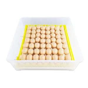 56 Chicken Eggs Incubator Roller Type Egg Tray Dual Power 56-104 Fully Automatic Incubator