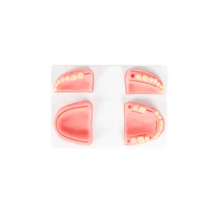 Человеческий стоматологический шовный коврик с зубцами из смолы, стоматологические тренировочные модели, стоматологический коврик для Шовной практики