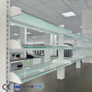 Lab Eiland Werkbank Tafel Lab Bench Prijs Met Pegboard - Product Image 6