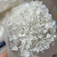Bunga Hydrangea Merah Alami Awet, Daun Besar, Tahan Lama 3-5 Tahun, Bunga Thanksgiving Abadi, Pengawetan Gliserin, 22cm