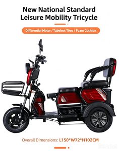 Tricycle électrique fiable de 600 W alimenté par des batteries au plomb-acide, idéal pour les trajets familiaux et le transport de passagers. - Product Image 1