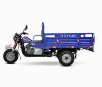 Tricycle cargo à moteur essence pour adultes, scooter pour le transport de marchandises