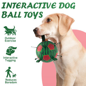 Palla Interattiva per Animali Domestici KINYU in Gomma PU Avvolta, Ecologica, Classica, Giocattolo Solido per Cani, per Giochi all'Aperto, Pallone da Calcio per Alleviare lo Stress - Product Image 2