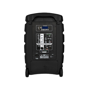 Accuracy Pro Audio CT12D5-GO-U2-MP3 12 Zoll <span class=keywords><strong>Sub</strong></span>-Woofer-Lautsprecher PA-System professioneller tragbarer Lautsprecher mit Akku Bluetooth DSP - Product Image 3