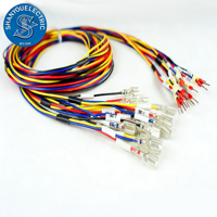 Faisceau de câblage pour équipements médicaux et appareils électroniques d'urgence, isolation PBT, IATF16949, longueur personnalisable