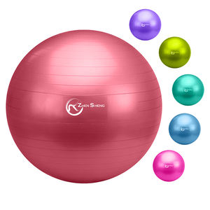 Pelotas <span class=keywords><strong>de</strong></span> Fitness Anti-Explosión <span class=keywords><strong>de</strong></span> 65 cm <span class=keywords><strong>de</strong></span> Zhensheng al por Mayor, con Calidad Confiable y Suministro Estable - Product Image 1