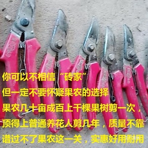 กรรไกรตัดแต่งกิ่งต้นไม้ Dongfeng ทำจากเหล็กกล้าคาร์บอน ขนาด 20-30 มม. สำหรับตัดแต่งต้นไม้ผลไม้ ดอกไม้ บอนไซ ใช้ในงานสวน ด้ามจับสีแดง - Product Image 5