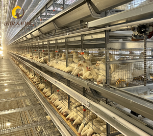 Cage à poulets <span class=keywords><strong>de</strong></span> type H avec compartiments bien proportionnés : un design qui aide les agriculteurs à obtenir des rendements économiques plus élevés sur des terres agricoles limitées - Product Image 4