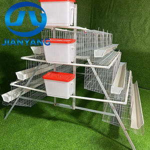 Gabbia per Batterie di Tipo A in Acciaio a Lunga Durata, Attrezzatura Automatica per Allevamento, Gabbia per Galline Ovaiole - Product Image 3
