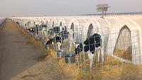 Prix abordable : Étables, enclos, niches et cages en plastique pour veaux et vaches d'extérieur