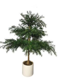 Nuevo árbol <span class=keywords><strong>de</strong></span> pino árbol artificial bonsái <span class=keywords><strong>de</strong></span> <span class=keywords><strong>cedro</strong></span> australiano para decoración <span class=keywords><strong>de</strong></span> Bodas <span class=keywords><strong>de</strong></span> jardín - Product Image 2