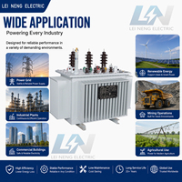 300KVA Three Phase Oil Immersed Power Transformer 33kV 480V 50Hz Full Set Oil Test Instruments Overseas Grid Inspection