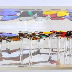 Bán buôn Chất lượng cao gắn khung bướm hiển thị Acrylic trường hợp cho bộ sưu tập - Product Image 2