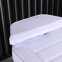 Lit de Salon Électrique pour Extensions de Cils, Base Métallique Durable, Réglable, 1 Moteur, Lit de Beauté Cosmétique en Cuir Synthétique PVC