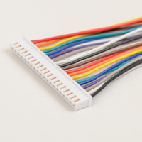 2.0mm 2.54mm Pitch 20PIN 30pin konektor 24AWG kawat Harness untuk Elektronik PCB