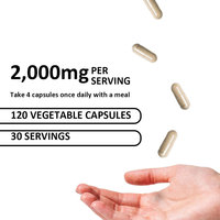 Capsules de poudre de racine de maca 2000 mg, complément d'extrait de racine de maca pour adultes, hommes et femmes, stimule l'énergie, 100% naturel, santé