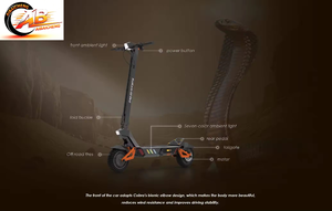 Envío Gratis desde Almacén en la UE para el Scooter de Dos Ruedas <span class=keywords><strong>G1</strong></span> <span class=keywords><strong>Pro</strong></span>, Motor Dual de 1600W, 55km/h, Plegable, Batería de 20AH - Product Image 4