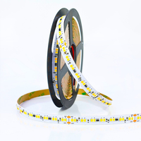 Bande lumineuse LED CCT OEM ODM 196LEDs/m, CRI élevé 90, dimmable, 2700K - 6500K, lumière continue sans points pour armoire, architecture