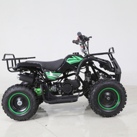 Quad ATV utilitaire miniature Tao Motor Rino 50 pas cher, 2 temps, 49 cm³, 4 roues pour enfants