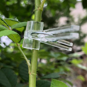 Clips de greffage transparents, accessoires de serre, clips pour légumes, clips pour semis de melon, clips pour plantes à fleurs, clips pour lier les vignes - Product Image 6