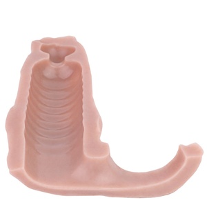 FAAK Fantasy Dog Knot Hollow Dildo de Silicona, Funda Extensora de Pene de Caballo para Hombre, Talla XL, con Anillo para el Pene, Juguetes Sexuales para Hombres - Product Image 6