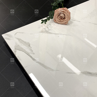 Carreaux de Sol de Luxe en Porcelaine Émaillée Blanc Carrara 60x60 Carreaux de Sol Maison en Marbre Blanc Vitrifiés pour Salon