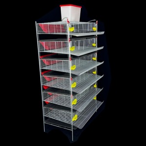 Gabbia per Quaglie a 5 Piani con Pulizia Automatica del Letame, Gabbia Verticale per Quaglie, Gabbia Rialzata per Pernici, Gabbia per Allevamento di Piccoli Uccelli - Product Image 6