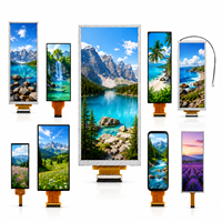 Wettbewerbsfähiger Preis OEM 0,99-17,3 Zoll IPS-Bildschirmpanel 10,16 Zoll Kleiner Touchscreen 600*1600 -30 ° C~80 °   TFT-LCD-Anzeigemodul