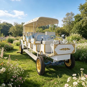 Nouveau véhicule électrique de tourisme de style européen, parfait pour les parcs d'attractions, chariot à chevaux à 3 rangées, chariot tiré par des chevaux - Product Image 5