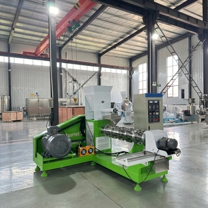 Machine extrudeuse d'aliments flottants pour poissons durable, 250 kg/h, haute efficacité, pour la production de granulés d'aliments pour poissons-chats et tilapias - Product Image 5