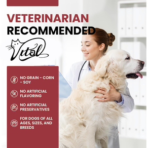 DogProbiotics 5 Enzimas y 4 Prebióticos Forltchy Skin 180 Chew Pet Health Care Suplementos Ayuda <span class=keywords><strong>a</strong></span> <span class=keywords><strong>la</strong></span> diarrea Infección por levaduras Alergias - Product Image 2