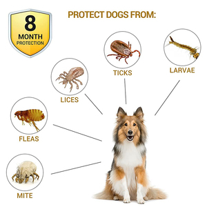 <span class=keywords><strong>Collar</strong></span> Calmante Ajustable para <span class=keywords><strong>Perros</strong></span> y Gatos, Seguro para el Verano, Impermeable, Previene Insectos, Efecto Calmante Duradero, Alivia la Ansiedad de las Mascotas - Product Image 2