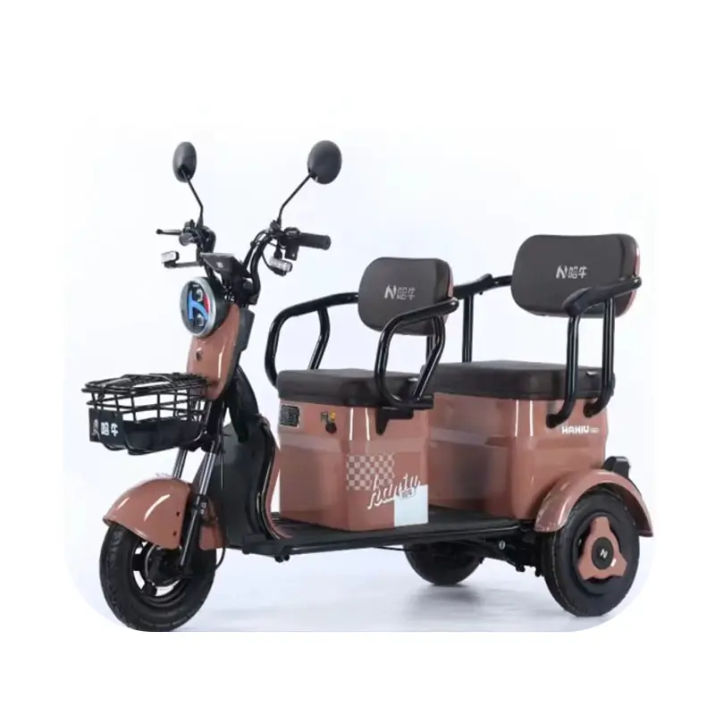 2024 New 2-seater electric leisure tricycle for adults