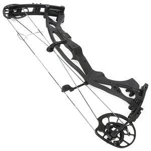 <span class=keywords><strong>Tir</strong></span> <span class=keywords><strong>à</strong></span> <span class=keywords><strong>l</strong></span>'<span class=keywords><strong>arc</strong></span> H21 <span class=keywords><strong>arc</strong></span> <span class=keywords><strong>à</strong></span> poulies 40-70lbs réglable moulage sous pression Riser extérieur <span class=keywords><strong>cible</strong></span> compétitive <span class=keywords><strong>tir</strong></span> carbone flèche équipement - Product Image 2