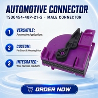 Connecteur femelle 40 broches TS30454-40P-21-2, faisceau de câblage personnalisé, connecteur automobile étanche pour voiture