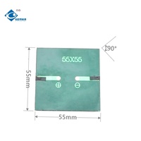 Mini panneaux solaires portables, chargeur 5V, panneau solaire encapsulé dans de la résine époxy, ZW-5555-5V, module de panneau solaire scellé à la résine époxy, 0,45W