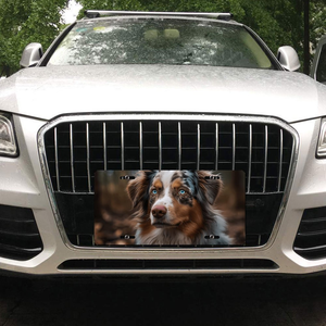 Placa de Matrícula <span class=keywords><strong>Personalizada</strong></span> para Auto o Moto, de Aluminio Plateado con <span class=keywords><strong>Nombre</strong></span> de Marca en Relieve, Decoración de Alto Rendimiento para Estados Unidos - Product Image 6