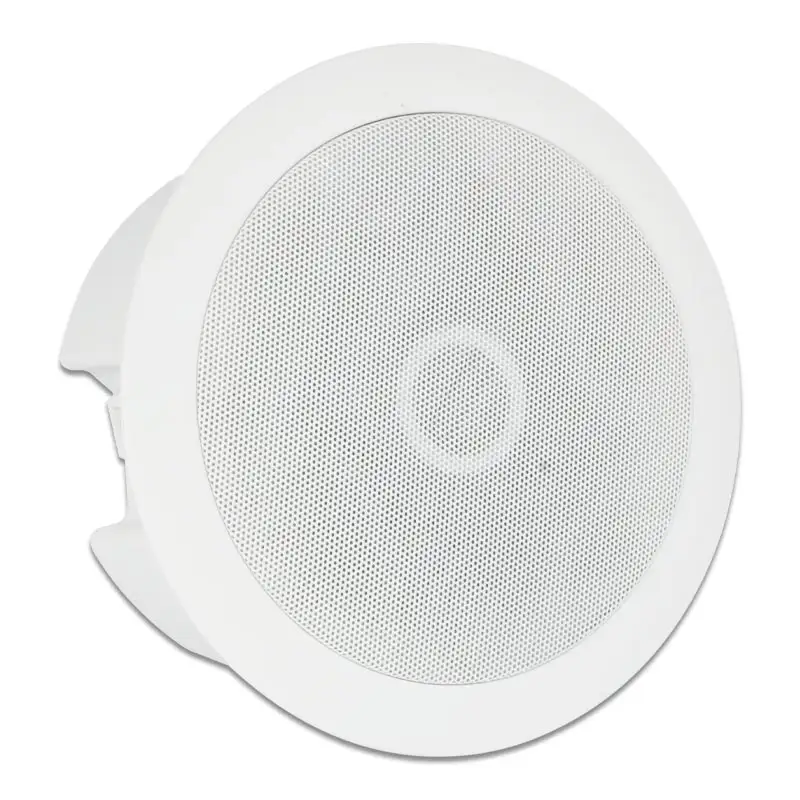 Tianlai Amplificateur Hoparlor Home Theater Audio System 5 Inch Ceiling Mount Speaker Speakers