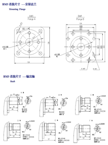 Serie BMR BM3 HMR, comúnmente encontrada en excavadoras, cargadoras, hormigoneras, cosechadoras combinadas, maquinaria portuaria, etc. - Product Image 6