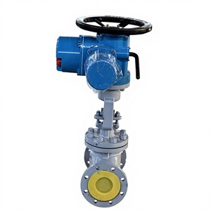 Válvula de Globo Inteligente Multiturno para Agua, Aire, Petróleo y Gas - Product Image 5