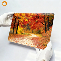 Feuille d'aluminium pour sublimation brillante, impression métallique HD, reproduction de couleurs vibrantes pour décorations, impressions photo, signalétique