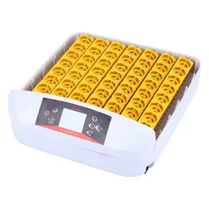 Good quality Brand 56 eggs incubator Full automatic Mini incubator for hatching eggs with LED