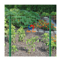 Poulailler de cage d'animal de preuve de rouille grillage soudé galvanisé de 3/8 pouces
