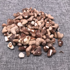 MD24 Ampoules Caltrop comestibles de haute qualité pour racines de trapa bispinosa à base d'eau séchée et de décortiquées pures pour la nourriture - Product Image 1