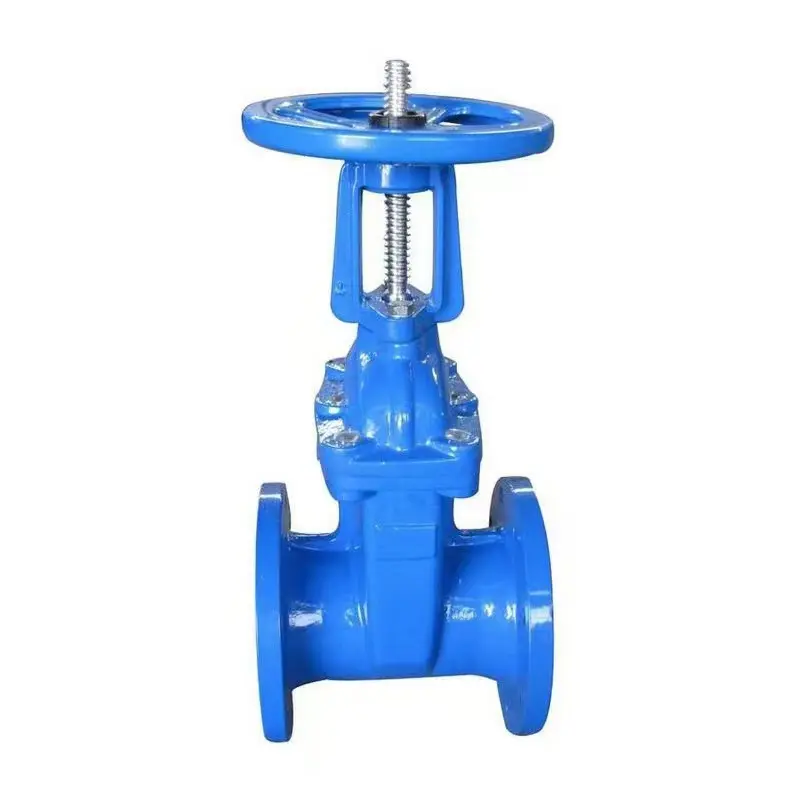 Manual Gate Valve Ductile Iron/Brass/Stainless Steel/Cast Steel Gate Valve for Water China Gate Valve Flange Connection