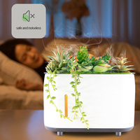 Humidificateur à ultrasons avec diffuseur d'arôme de plantes succulentes, humidificateur de maison à 7 couleurs avec lampe de nuit