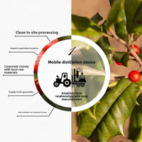 Huile Essentielle de Gaultheria Fragrantissima du Népal de Qualité Thérapeutique, Biologique, pour le Soulagement des Douleurs Musculaires et les Massages Sportifs