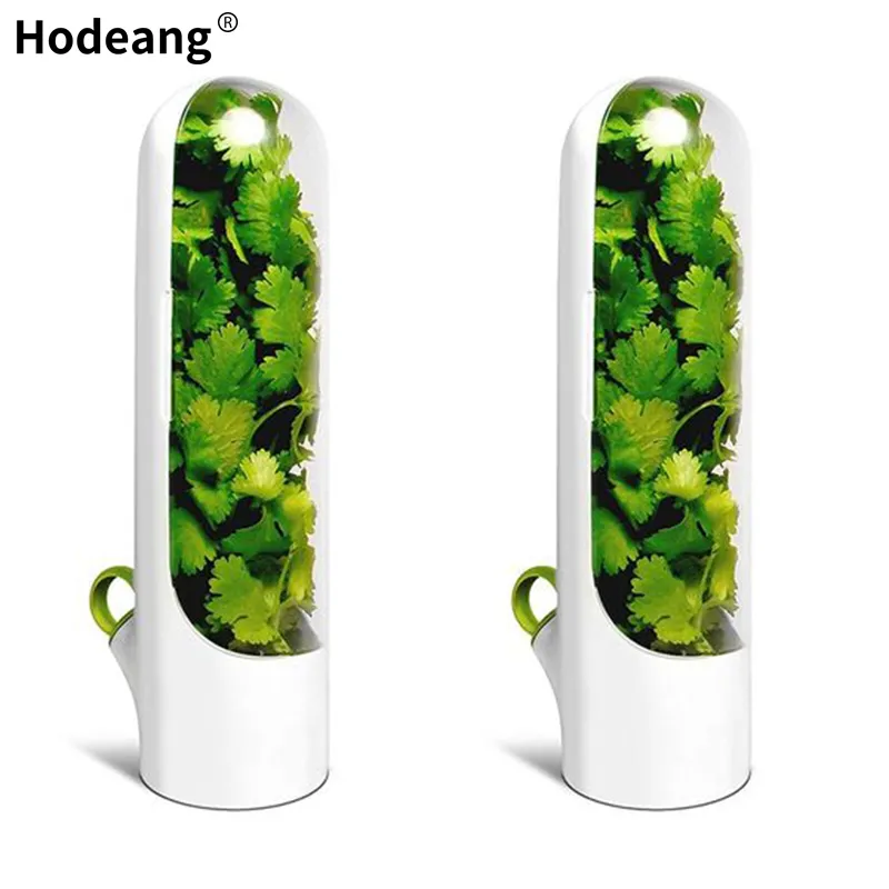 Кухонный Контейнер для хранения трав, прозрачный контейнер для хранения трав в холодильнике